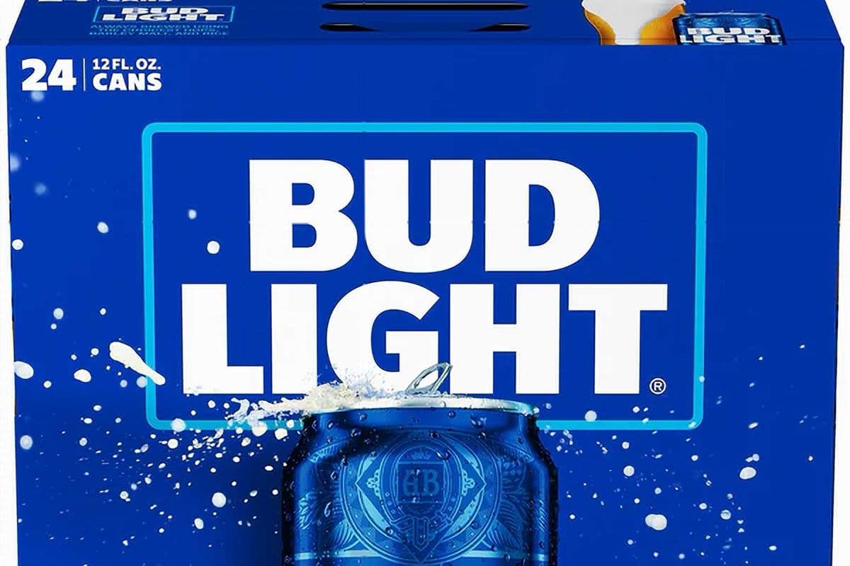 Budlight (24 x 355 ml)