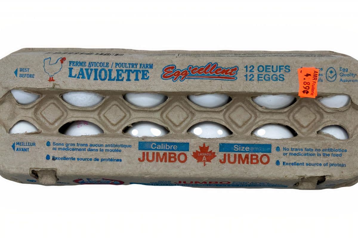 Laviolette oeufs jumbo (12 pcs)