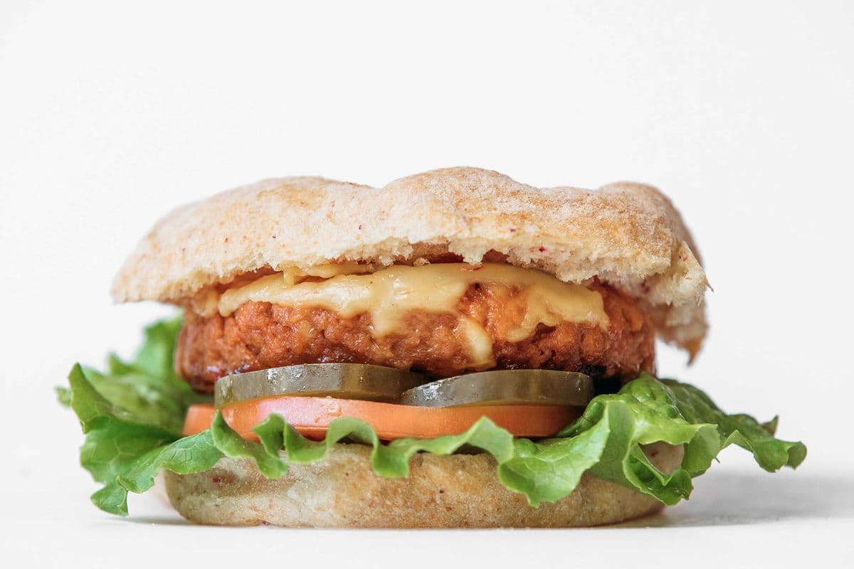Plant-Based Burger