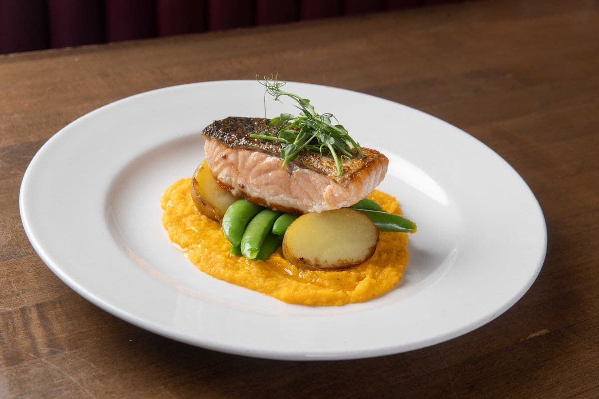 Salmon