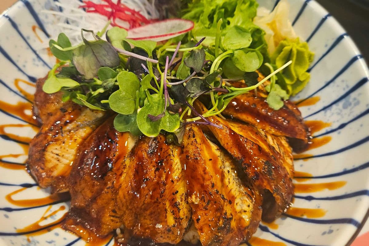 Unagi Don