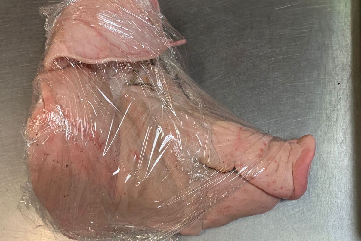 Frozen- whole pork head