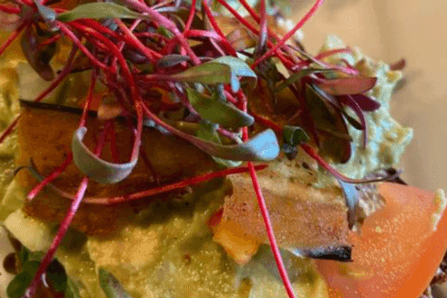 GF Avocado Toast