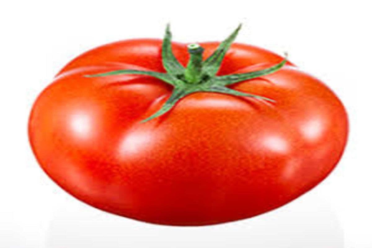 tomato one piece