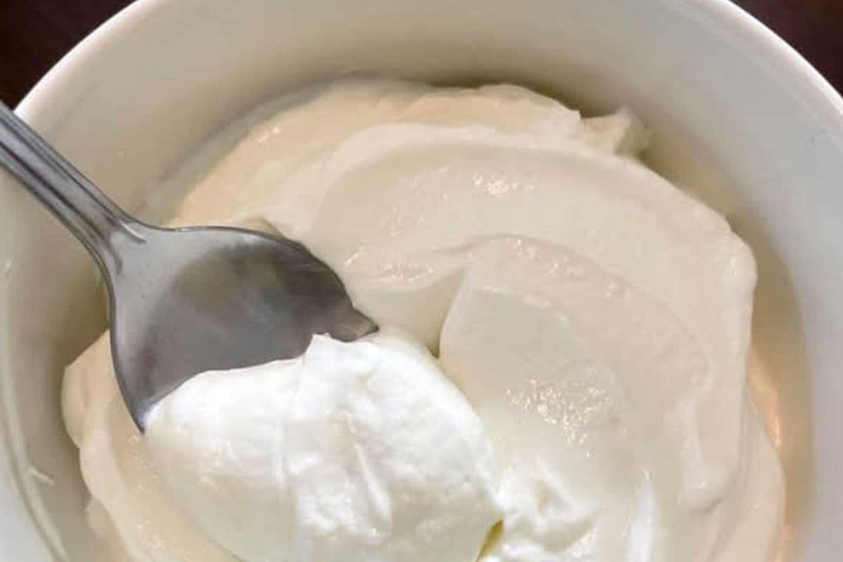 Plain Dahi