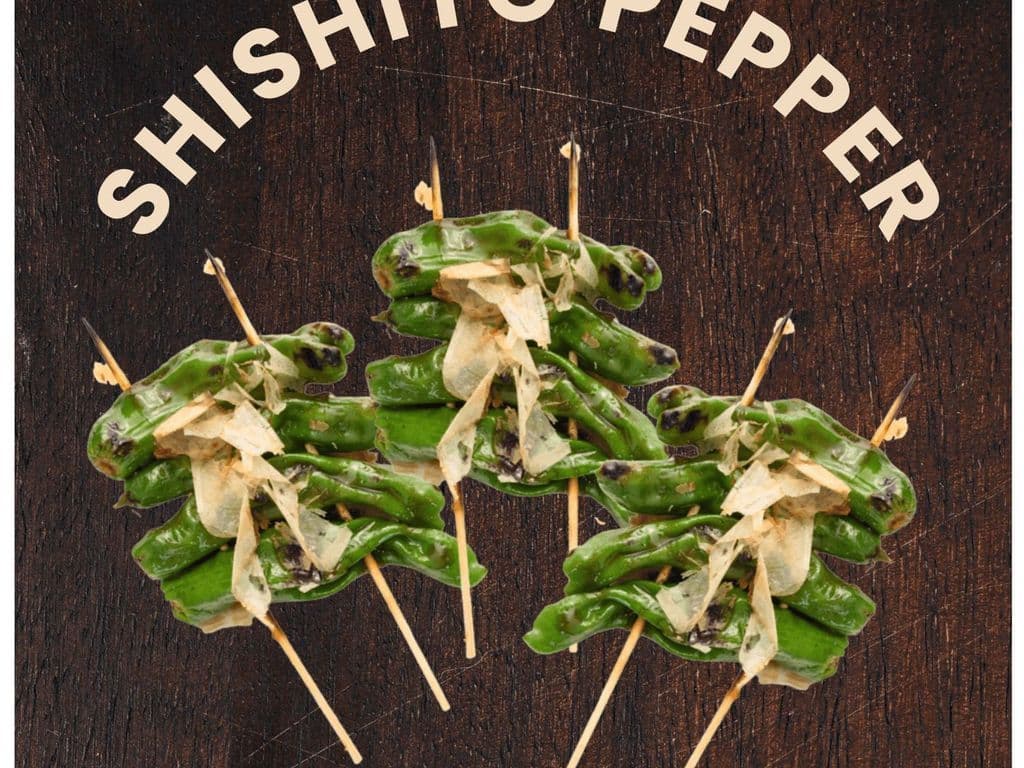 Shishito Pepper x 3 pieces