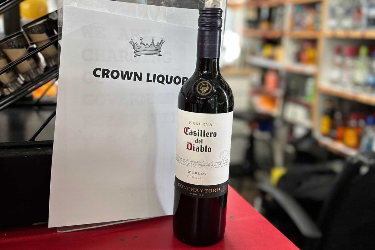 Casillero del Diablo Merlot (1 x 750 ml)