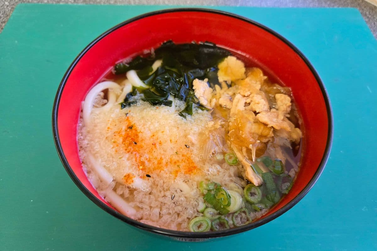 Teriyaki Udon