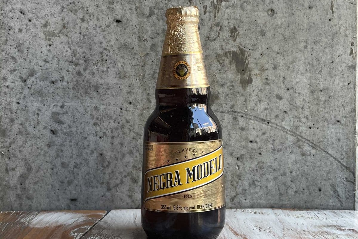 Modelo Negra Dark Lager (1 x 355 ml Bottle)
