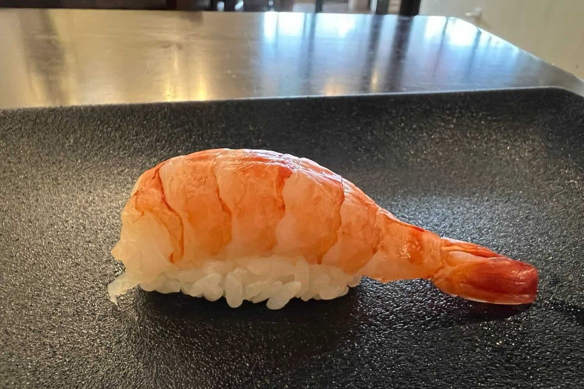 Ebi Nigiri (1 pc)