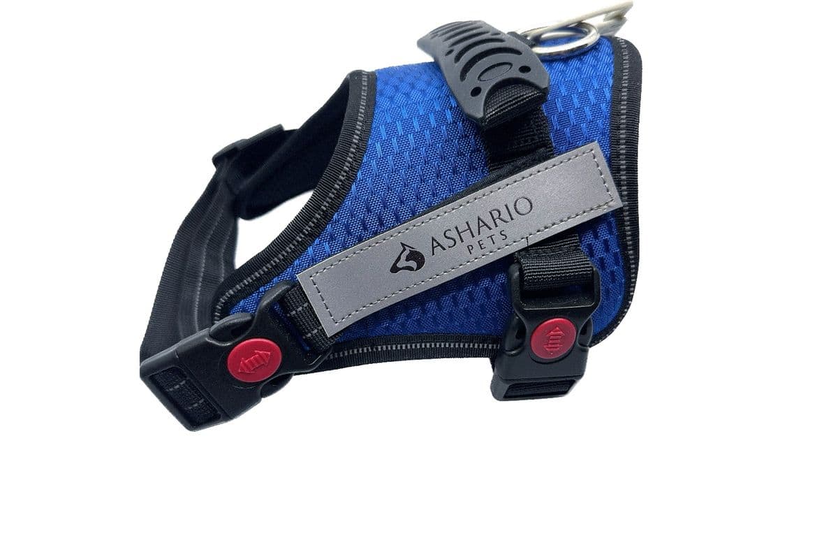 Ashario Pets - "TactiHarness Lite" Reflective No-Pull Design Harness - Blue - L