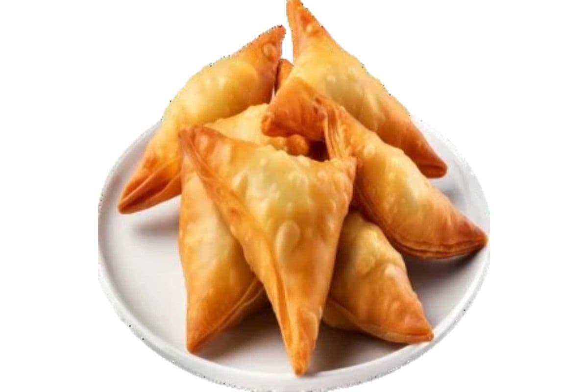 Chicken Samosa