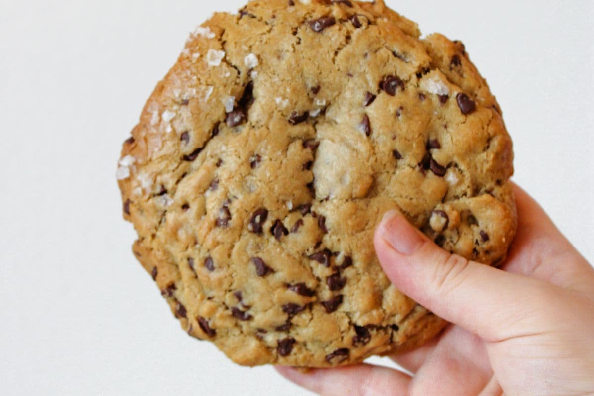 Salted Chocolate Chip Cookie