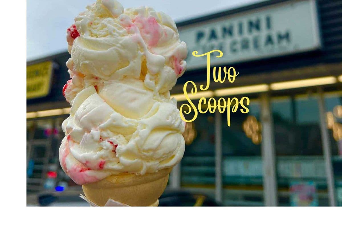 Double Scoops (2 scoops)