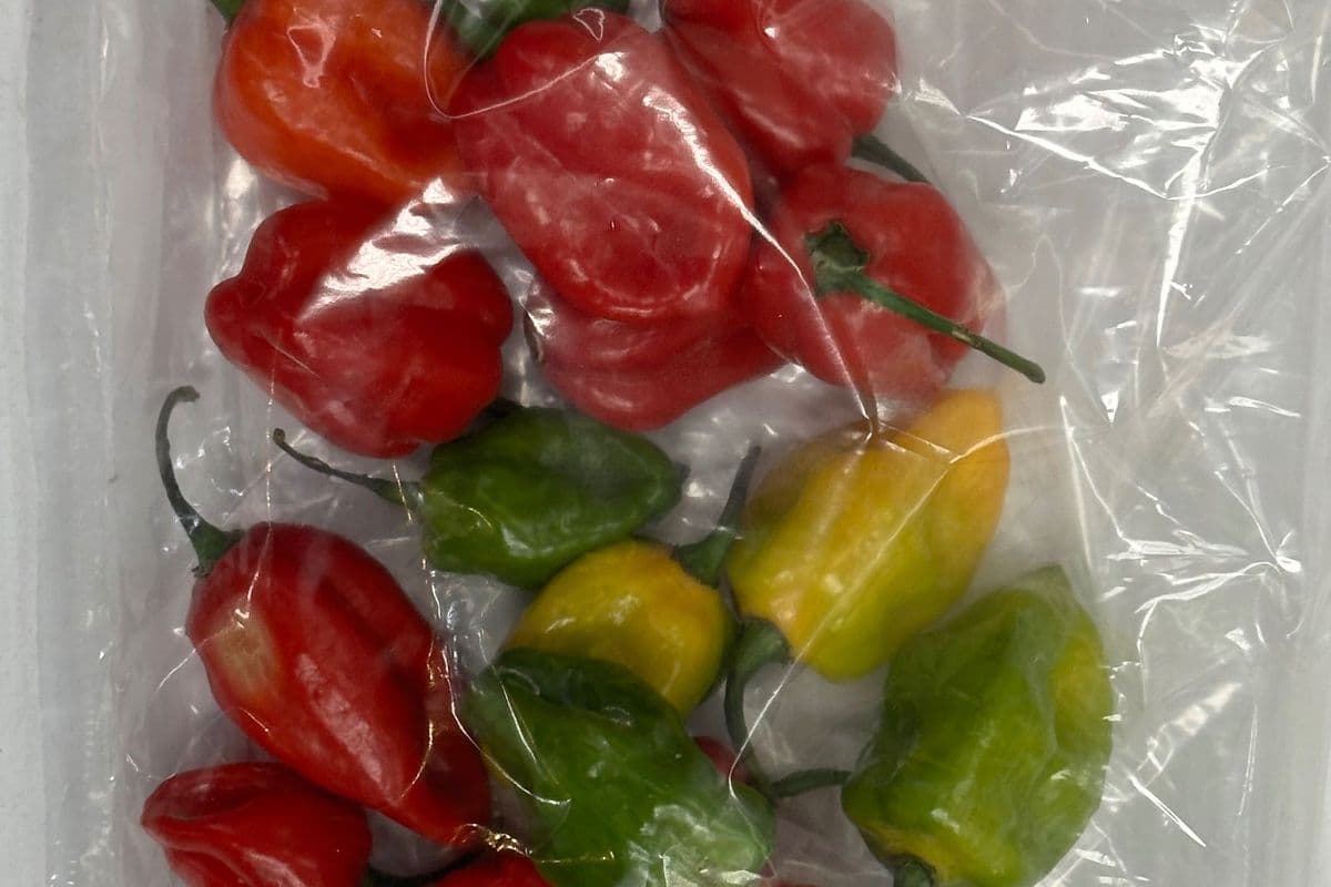 Scotch Pepper’s Hot @5.99/Lb-Out-of-stock (1lb)