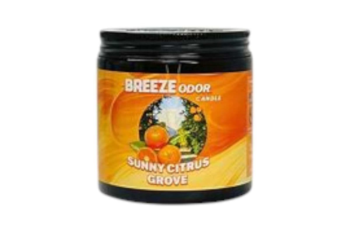 Breeze Odor Candle Sunny Citrus Grove (13oz )