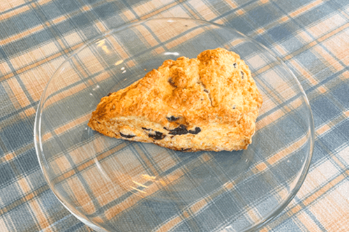 Cranberry Scone