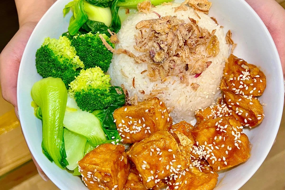 V2. General Tao Tofu (one size)