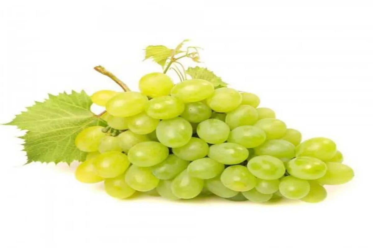 Green Grapes lb