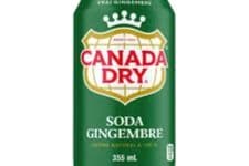 Ginger Ale (355ml)
