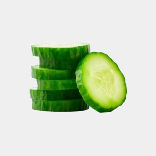 Concombre / Cucumber