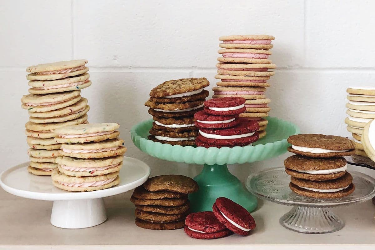 Assorted Sammy (4 Pack)