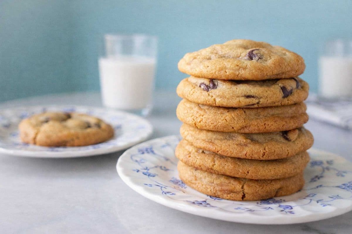 Gourmet Chocolate Chip Cookie