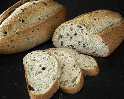 L'Olivier / Olive Tree