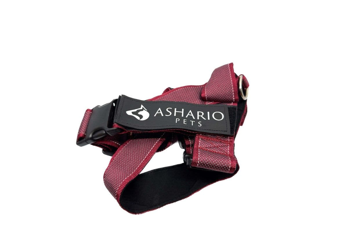 Ashario Pets - "BreezyVest" Summer Lightweight Reflective Harness - Wine Red - XS