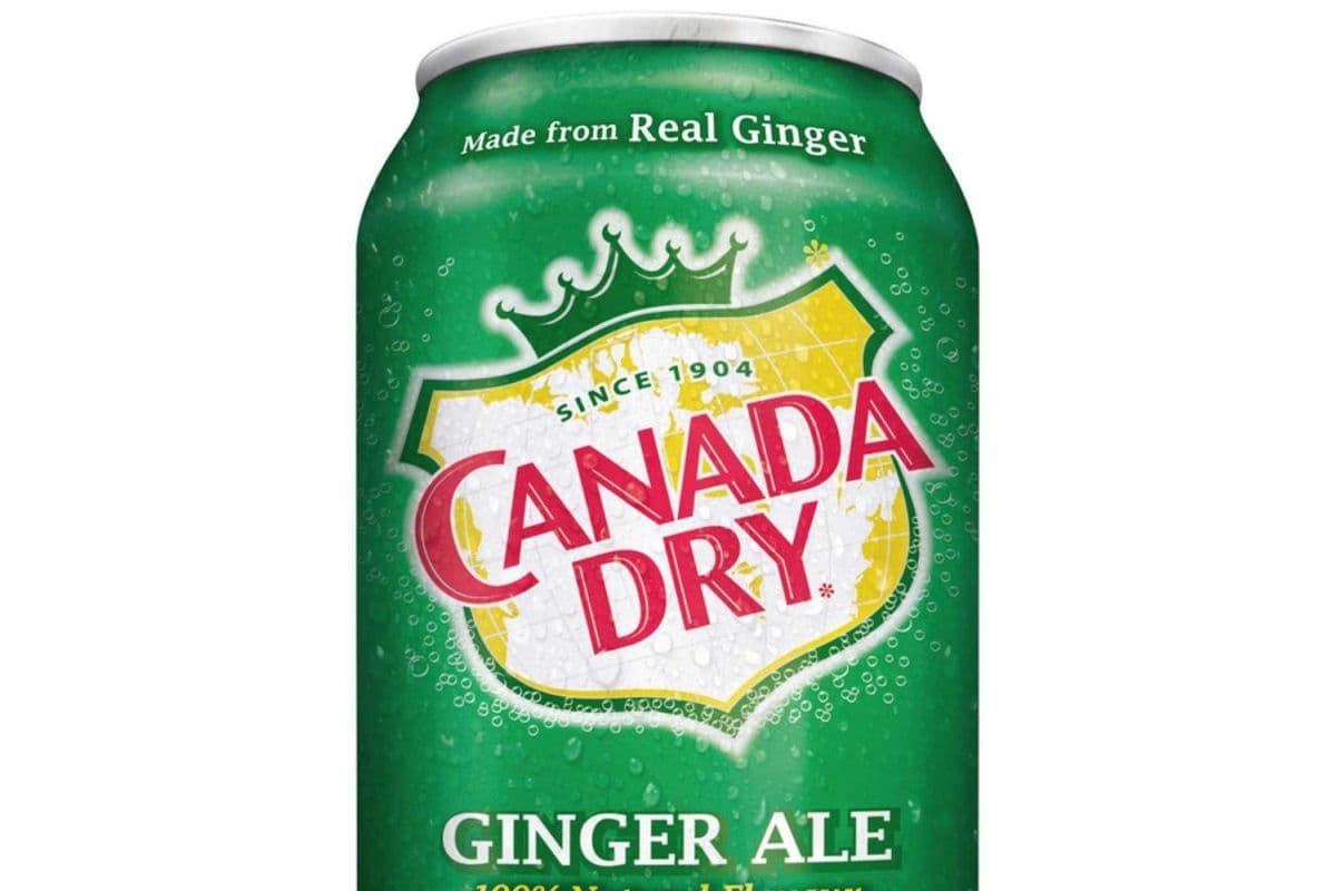 GINGER ALE (355)