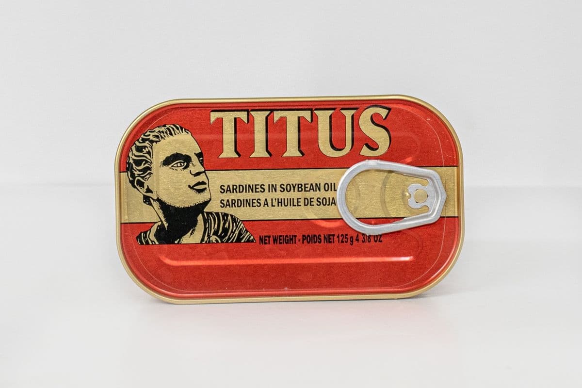 Sardine Anny