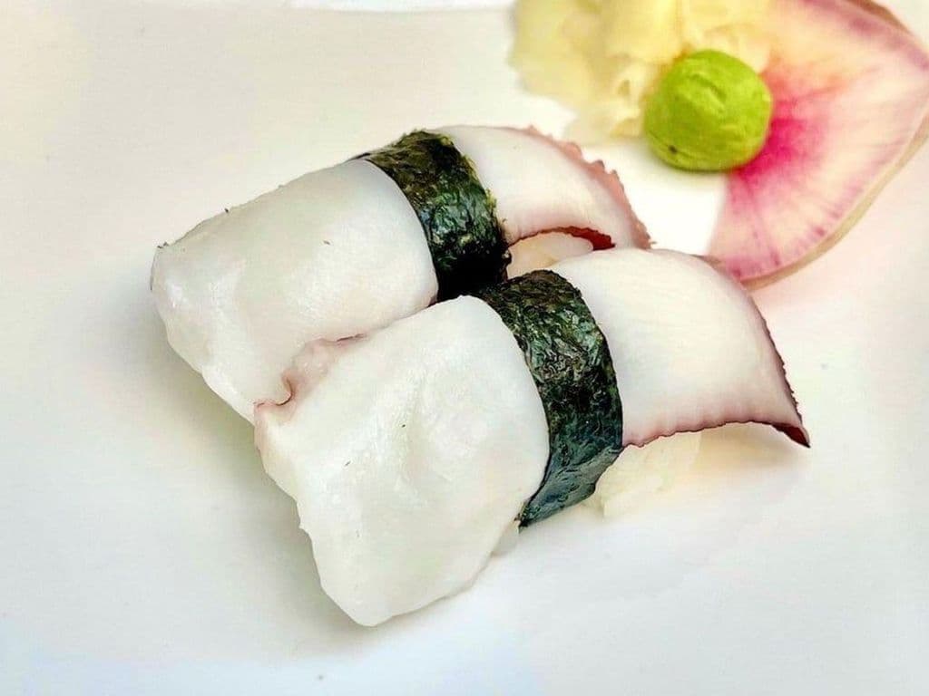 Pieuvre / Octopus