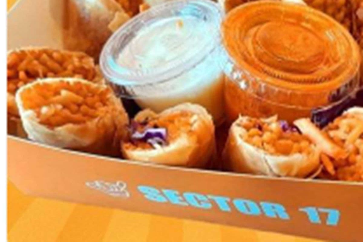 Noodle Spring Roll (2 pcs)
