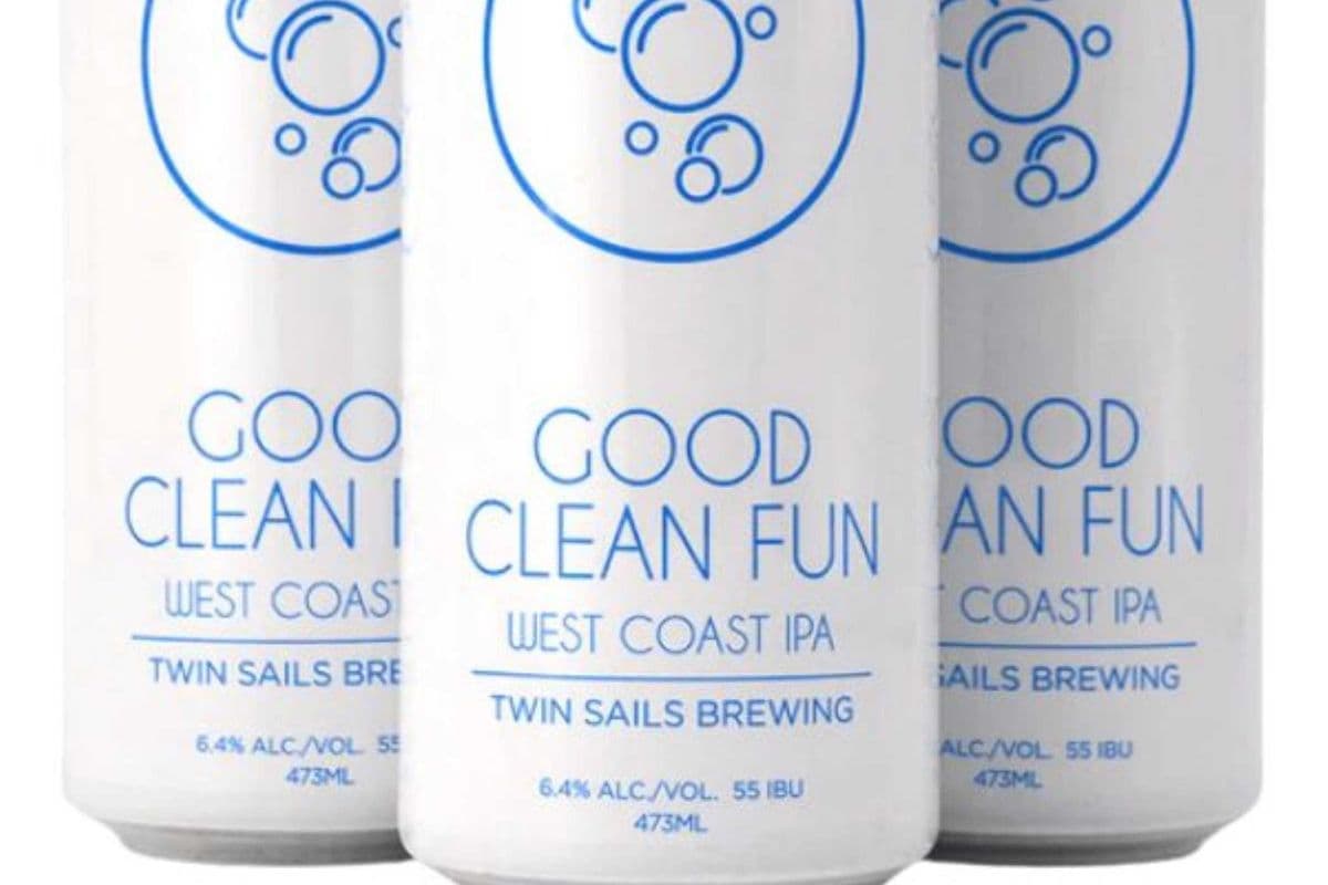 GOOD CLEAN FUN IPA 4x473ML (1 x 4x473ML)