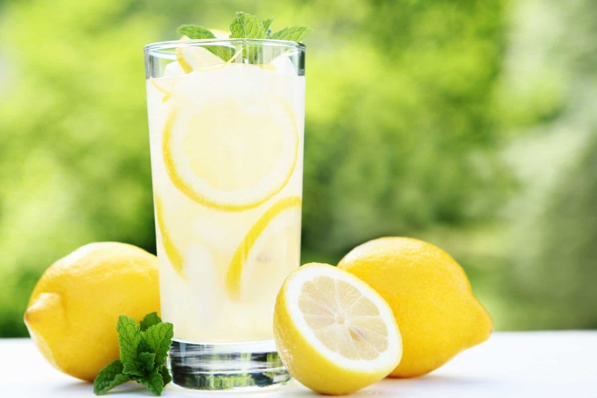 Lemonade (20oz)