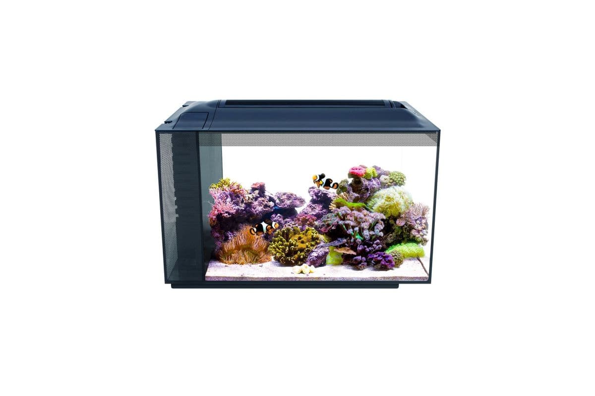 Fluval SEA EVO Saltwater Kit (13.5 gal)