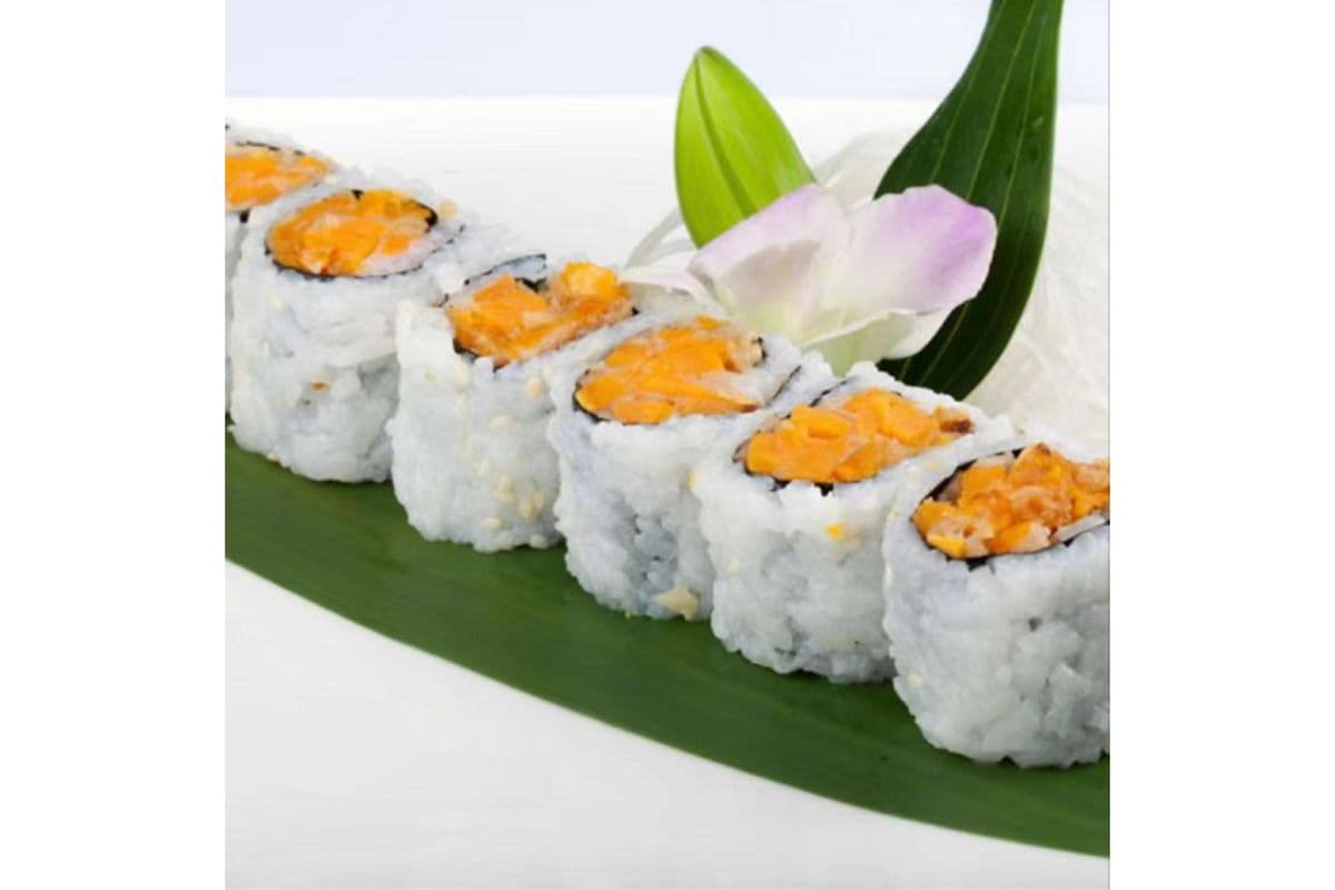 M19 Sweet Potato (6 pcs)