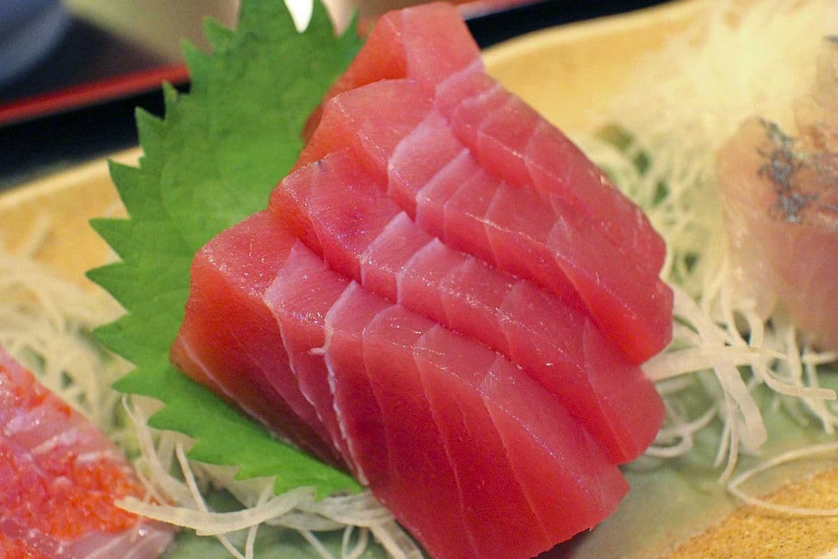 302 Tuna Sashimi