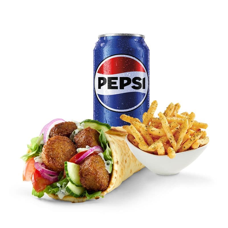 Combo Classique Falafel / Classic Combo Falafel