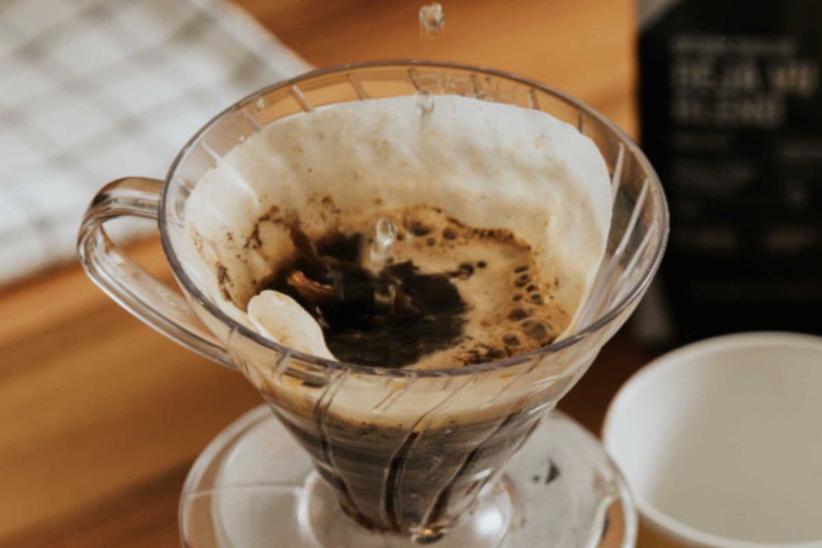 V60 Drip Sumatra Gayo (12 oz)