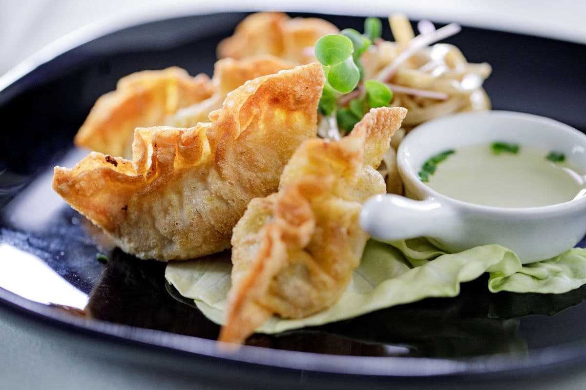 Crispy Vegetable Dumplings