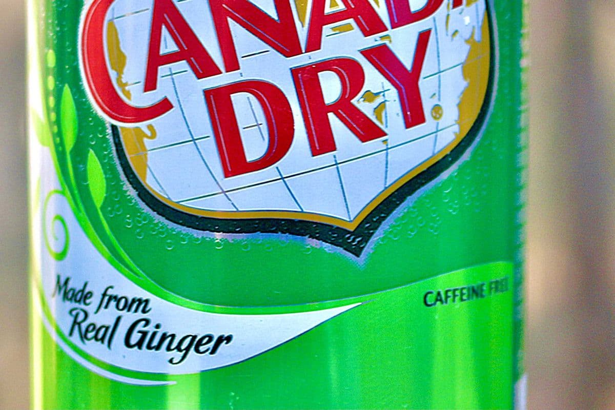 LG Canned Ginger Ale (355 ml can)
