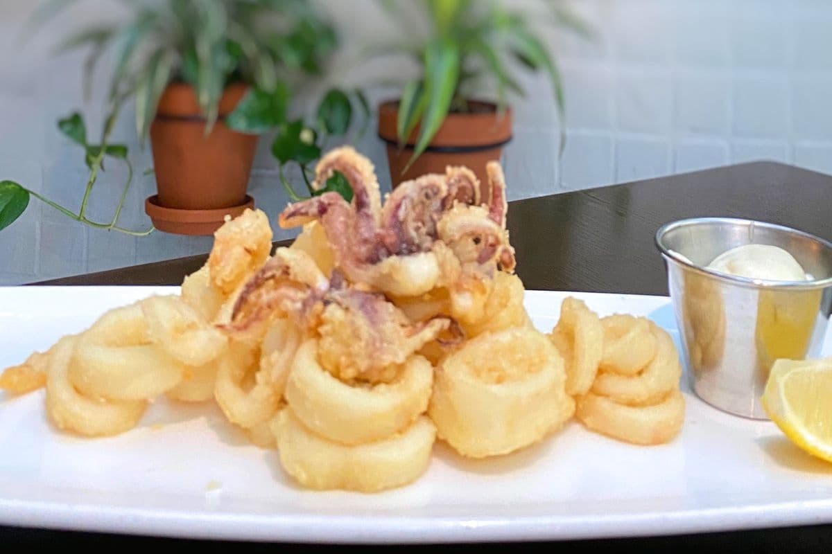 Crispy Calamari