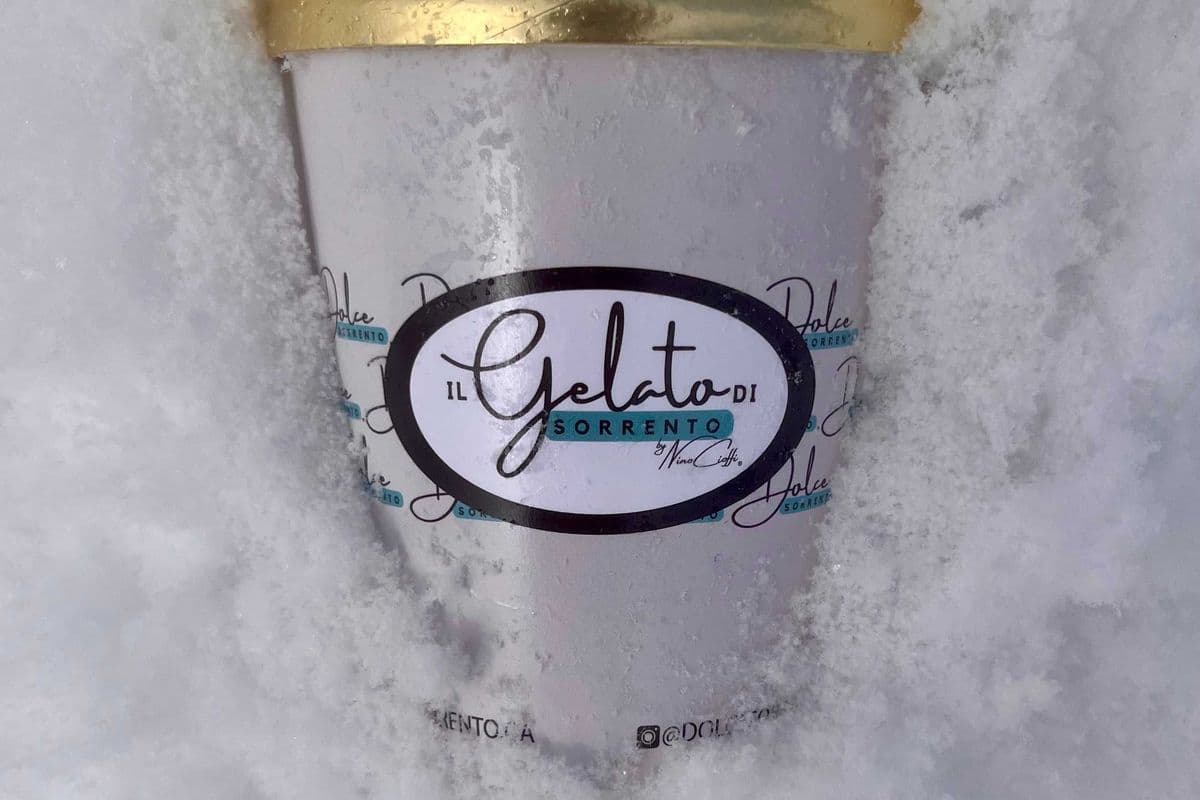 Melon Sorbet (1 Pint)