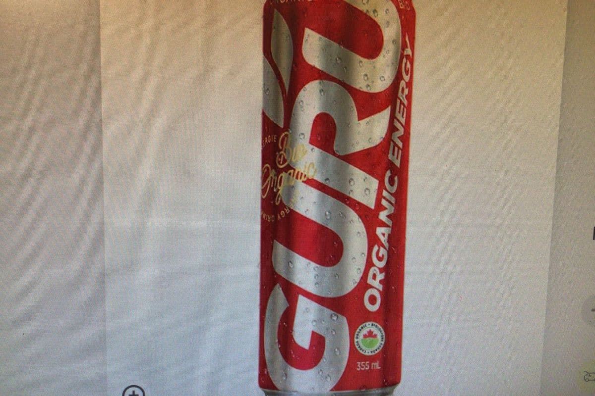 Guru boisson énergie bio régulier (355 ml) / Guru Organic Energy Regular (355 ml)