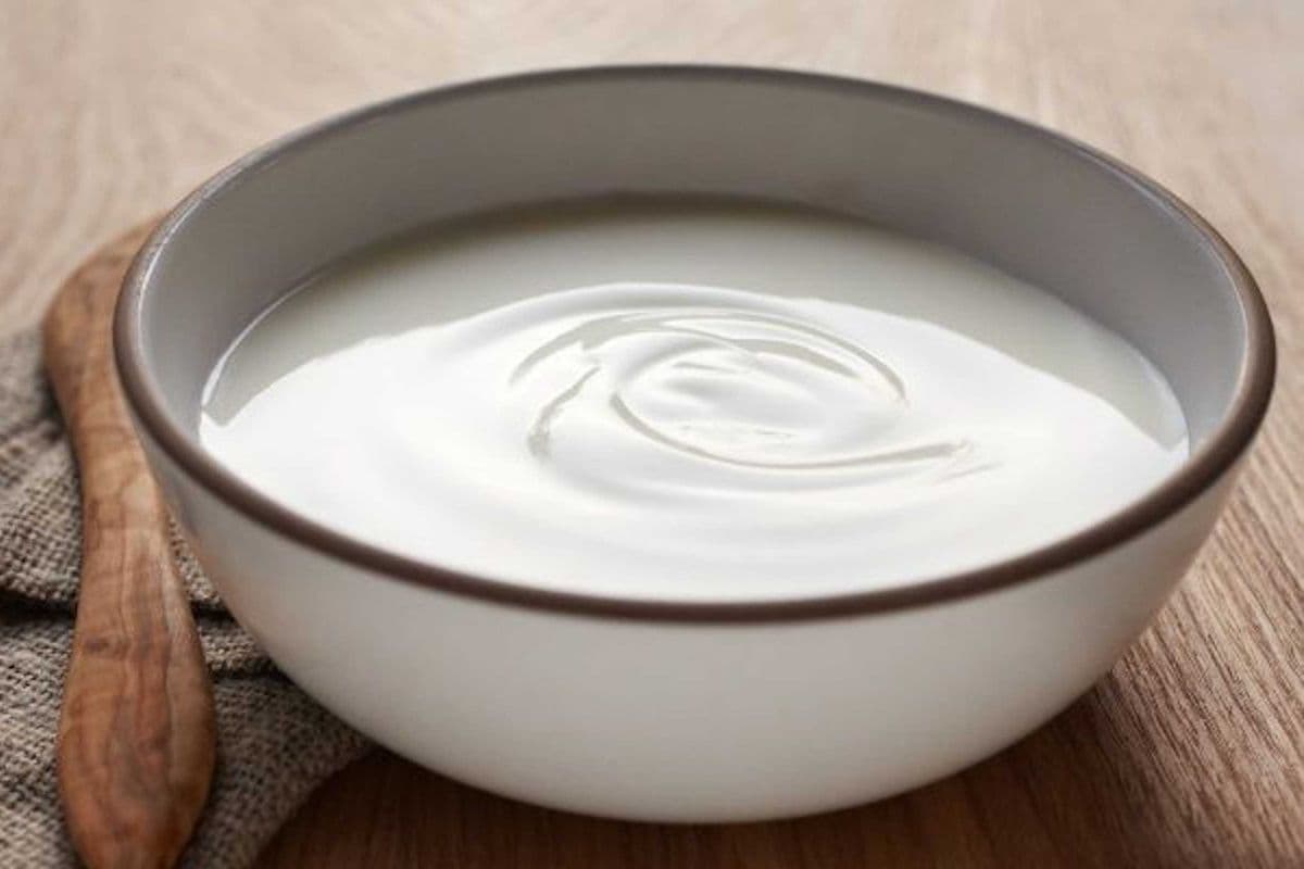 Yogurt