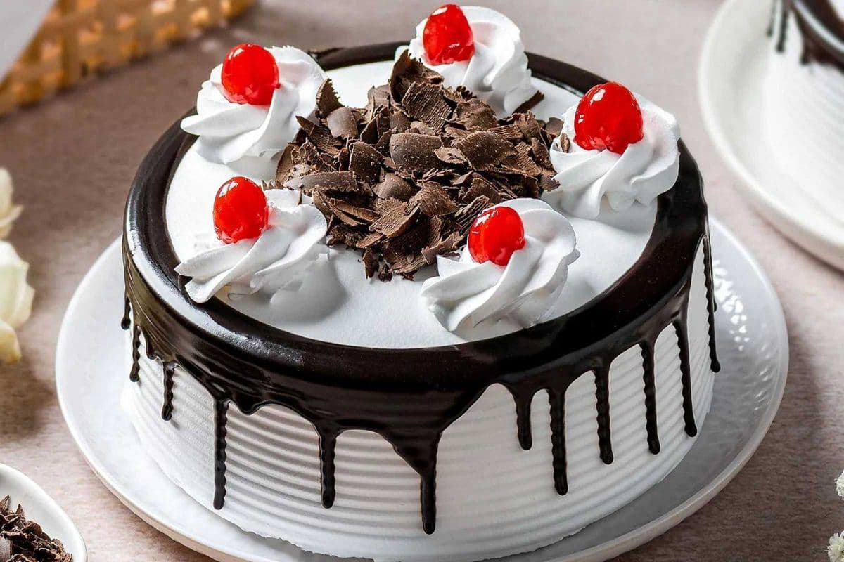 Black Forest 8"