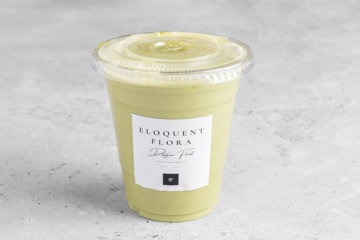 Iced Matcha Latte