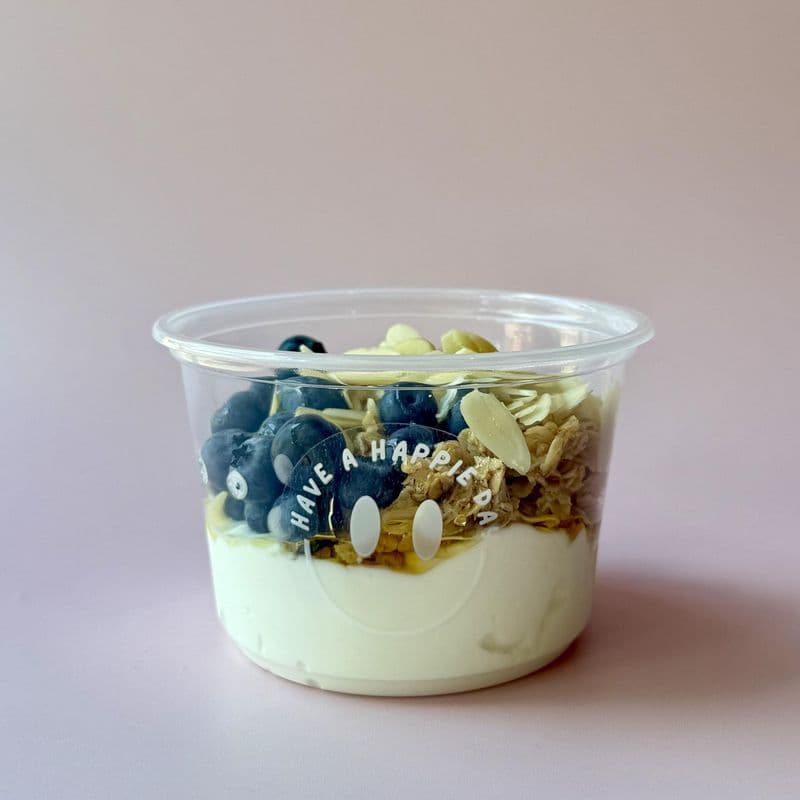 Blueberry Honey Yogurt Bowl