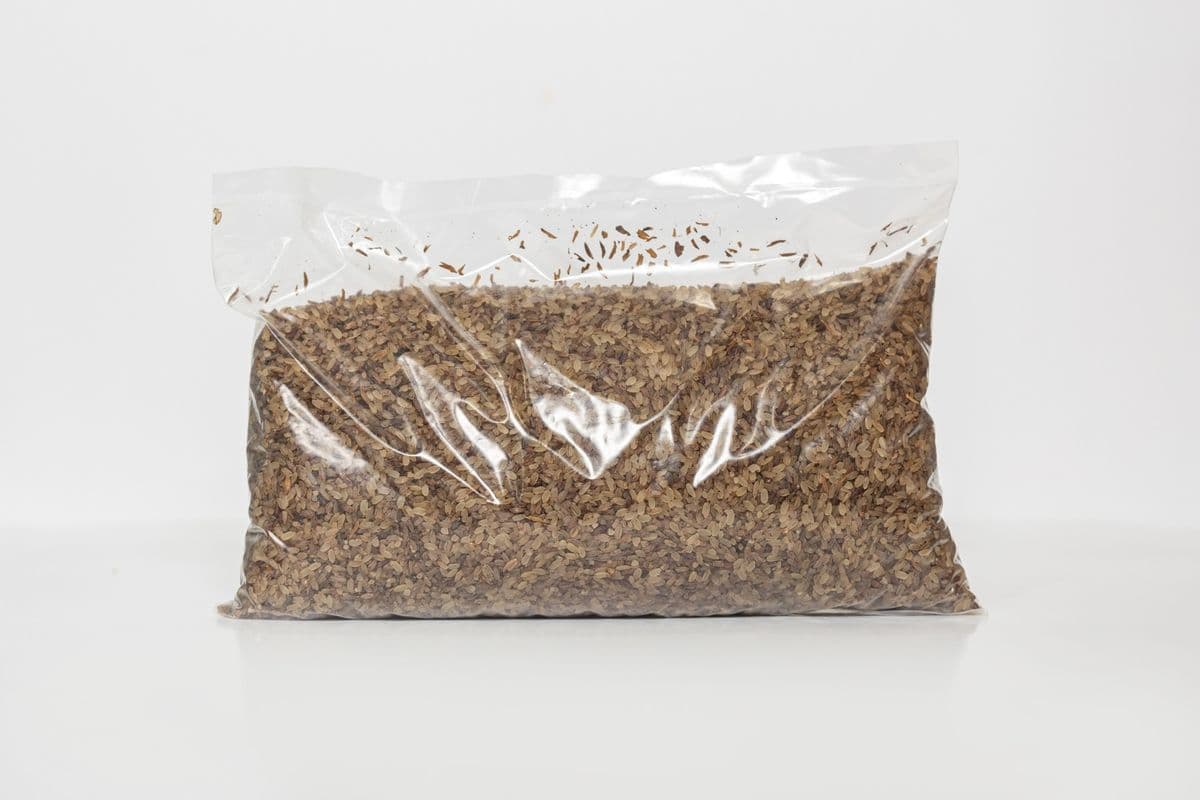 Ofada Rice Uncooked (4 lb)